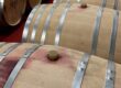 Vino Lingo – “Bunghole” Brian Maloney, Buena Vista Winery, Napa/Sonoma
