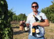 Vino Lingo Video #84 – “ABC” Andy Wahl, Daylight Wine & Spirits, Sonoma