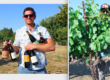Vino Video – Andy Wahl & Bobby Donnell, Daylight Wine & Spirits, Sonoma