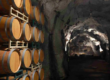 Vino Lingo – “Pachiche” Stephen Kautz, President, Ironstone Vineyards, Calaveras County